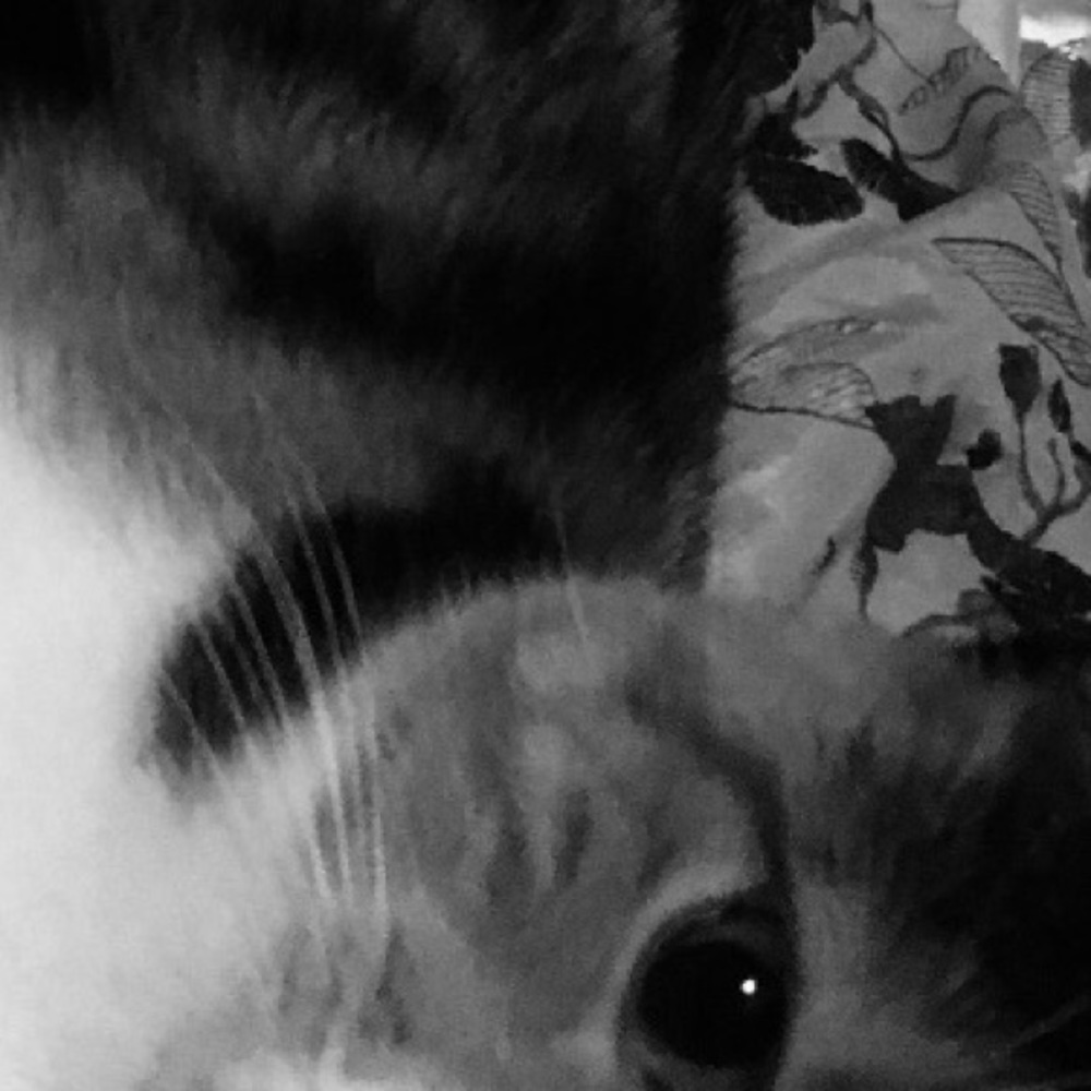 Meet your Posher, Kaykay